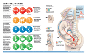 2015-infco-embarazo-deporte